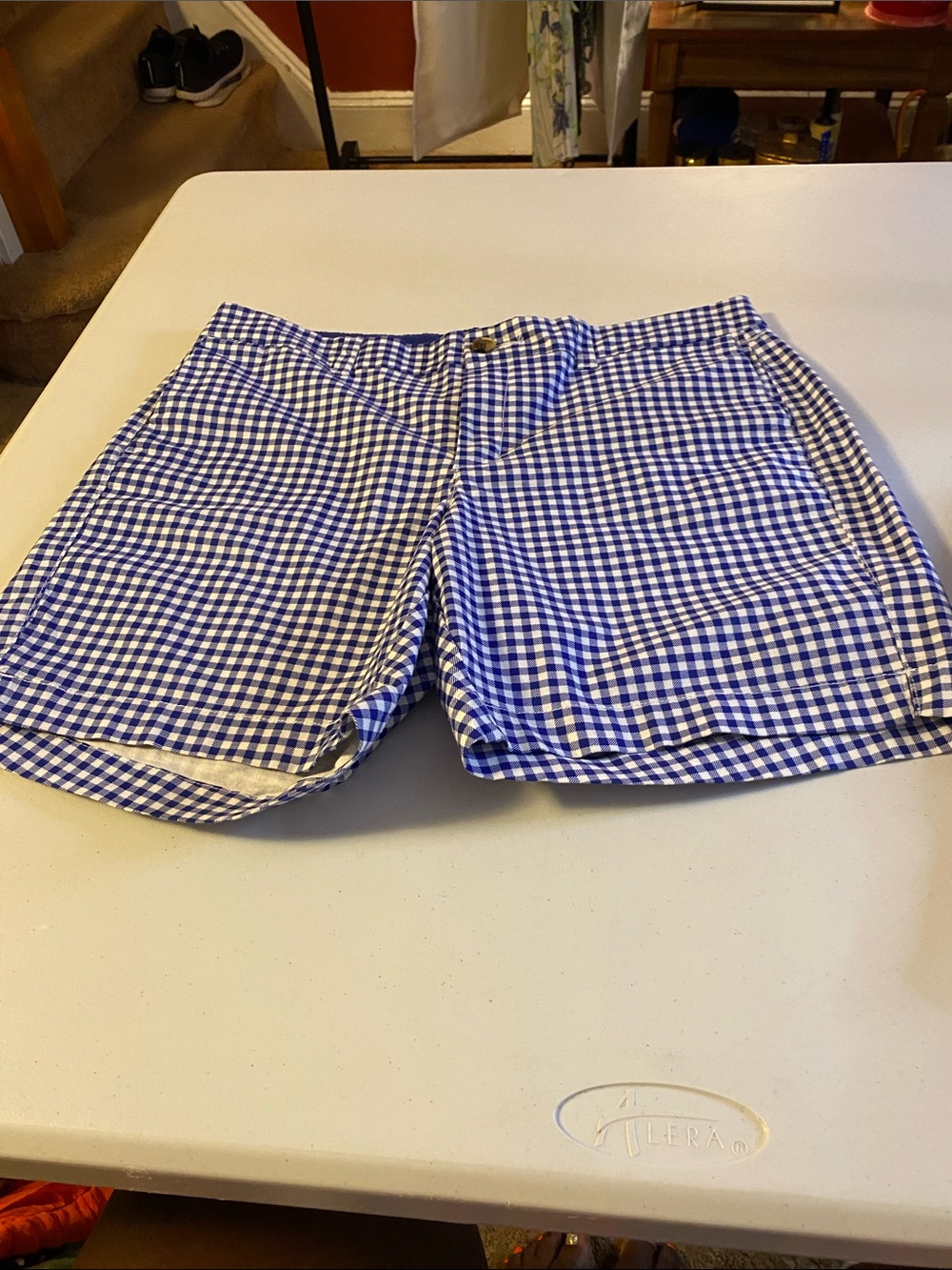 Old Navy Blue and White Gingham Women's Shorts